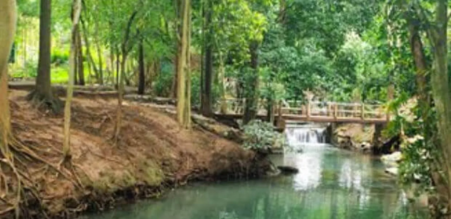 Ban Tha Chang Spring