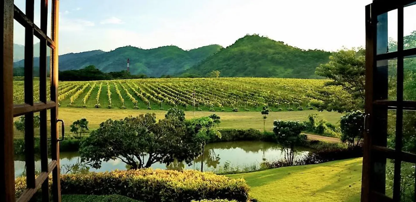 PB wine valley